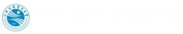 校园植物园